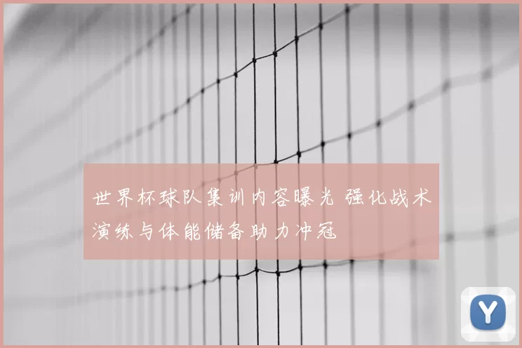 世界杯球队集训内容曝光 强化战术演练与体能储备助力冲冠