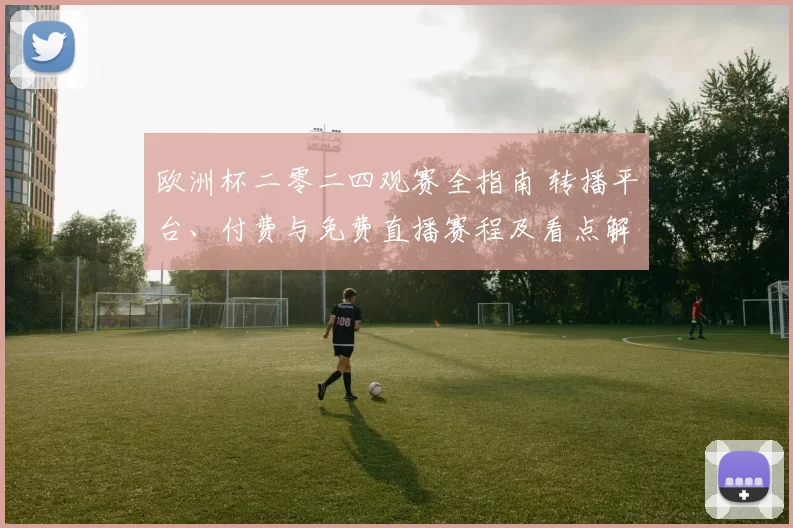 欧洲杯二零二四观赛全指南 转播平台、付费与免费直播赛程及看点解析