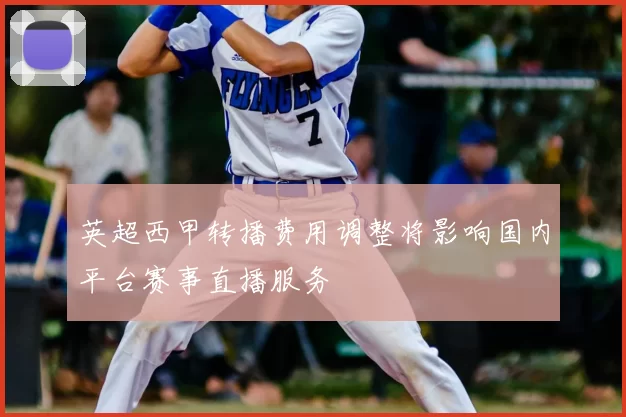 英超西甲转播费用调整将影响国内平台赛事直播服务